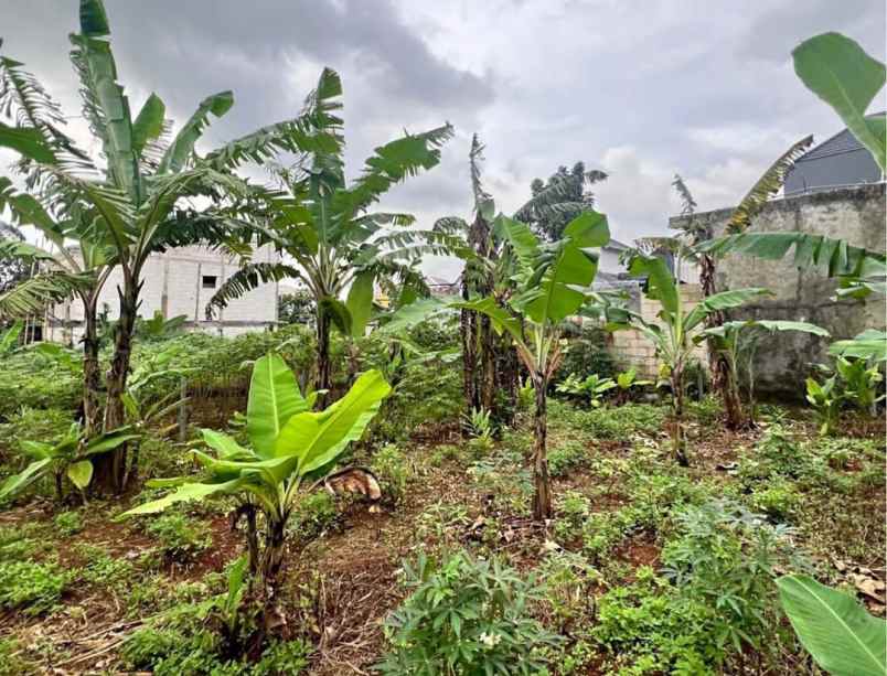 dijual tanah gondang