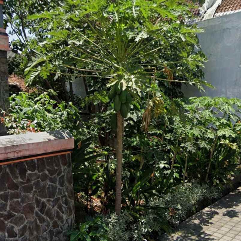 dijual tanah gunung patas