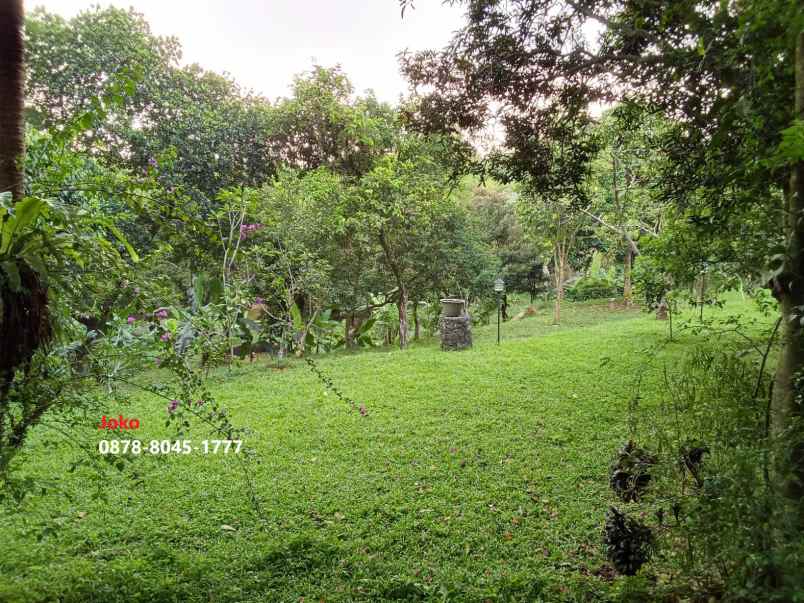 dijual tanah jagakarsa