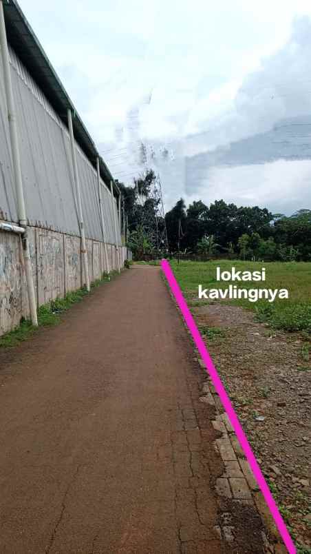 dijual tanah jalan anggrek setu serpong