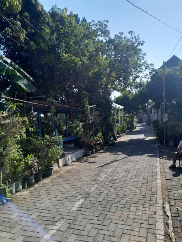 dijual tanah jalan durian