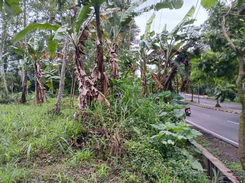 dijual tanah jalan lingkar selatan salatiga