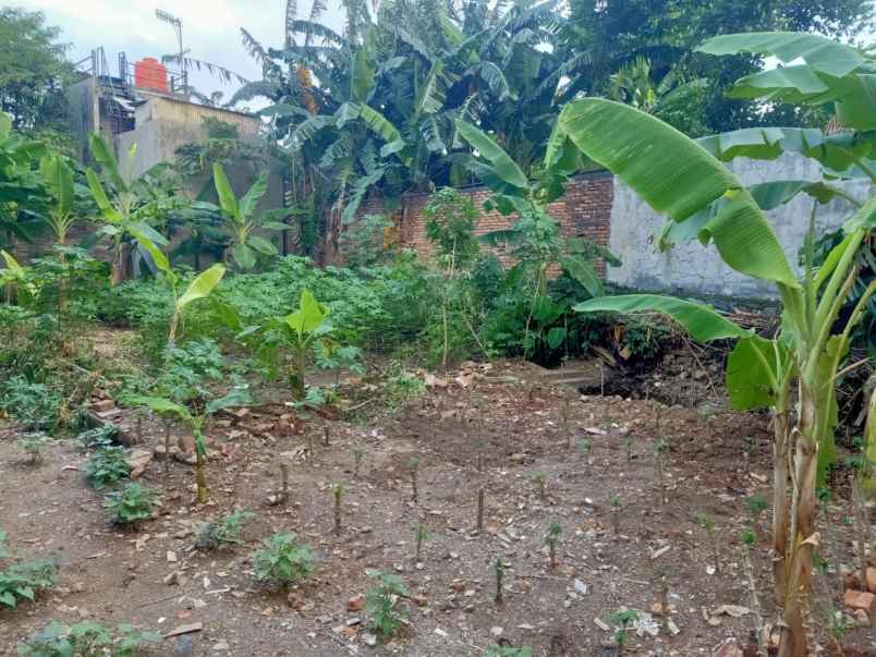 dijual tanah jalan raden intan