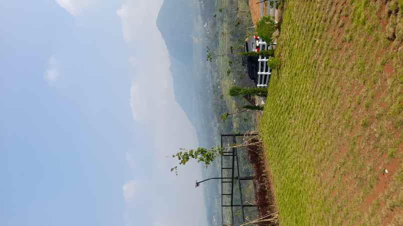 dijual tanah jalan raya sukamakmur jonggol