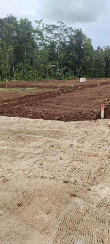 dijual tanah jatirejo gunungpati