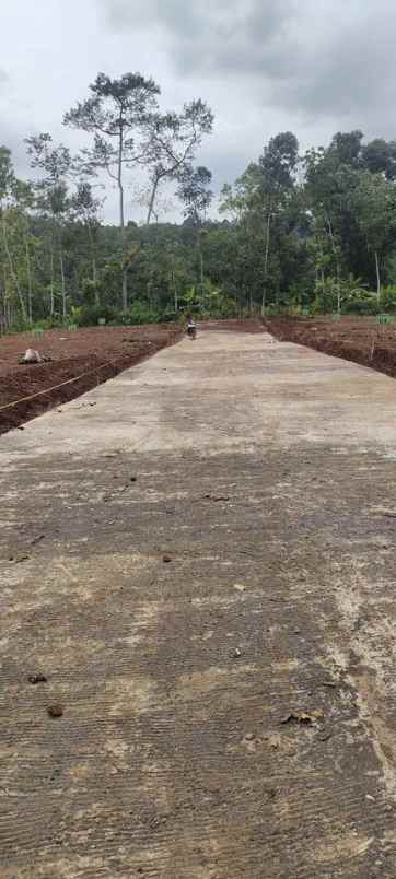 dijual tanah jatirejo gunungpati