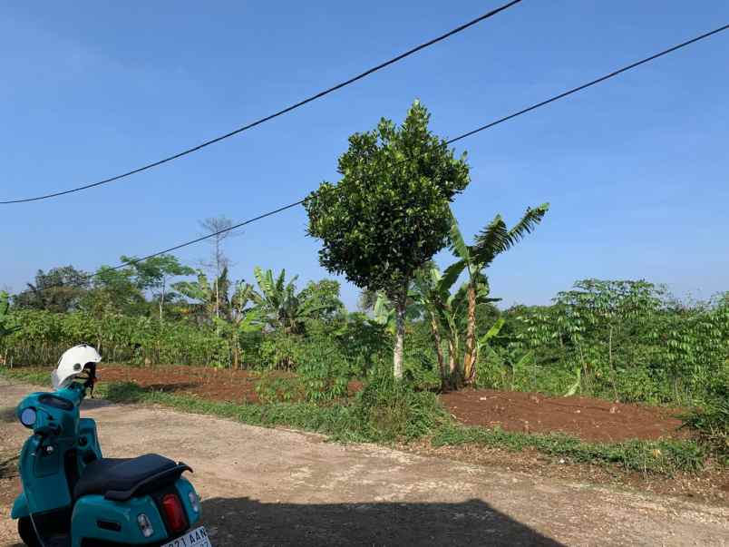dijual tanah jl boma lembang pamulihan