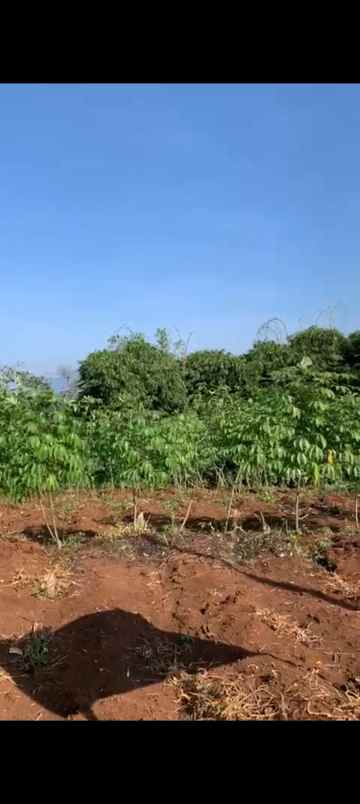 dijual tanah jl boma lembang pamulihan