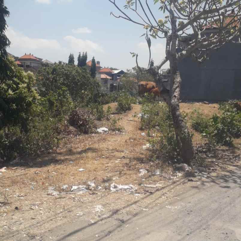 dijual tanah jl cargo taman