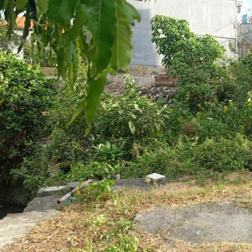 dijual tanah jl cargo taman