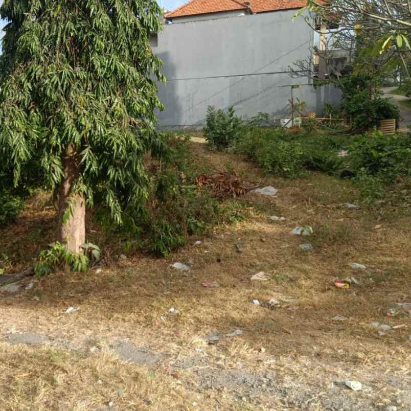 dijual tanah jl cargo taman