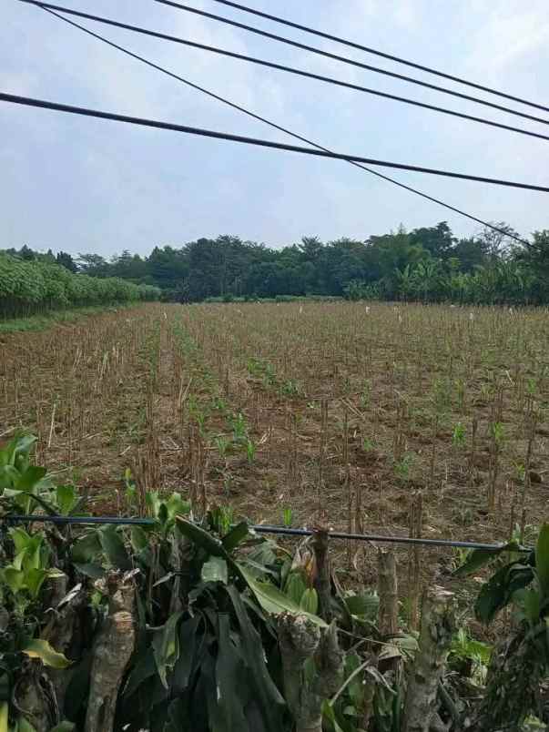 dijual tanah jl cimahpar