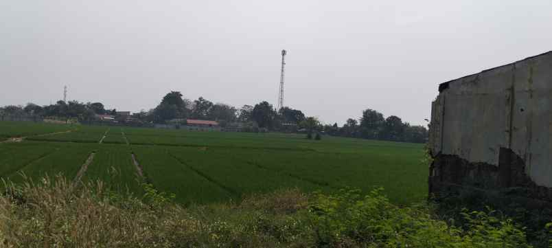 dijual tanah jl lingkar tanjungpura