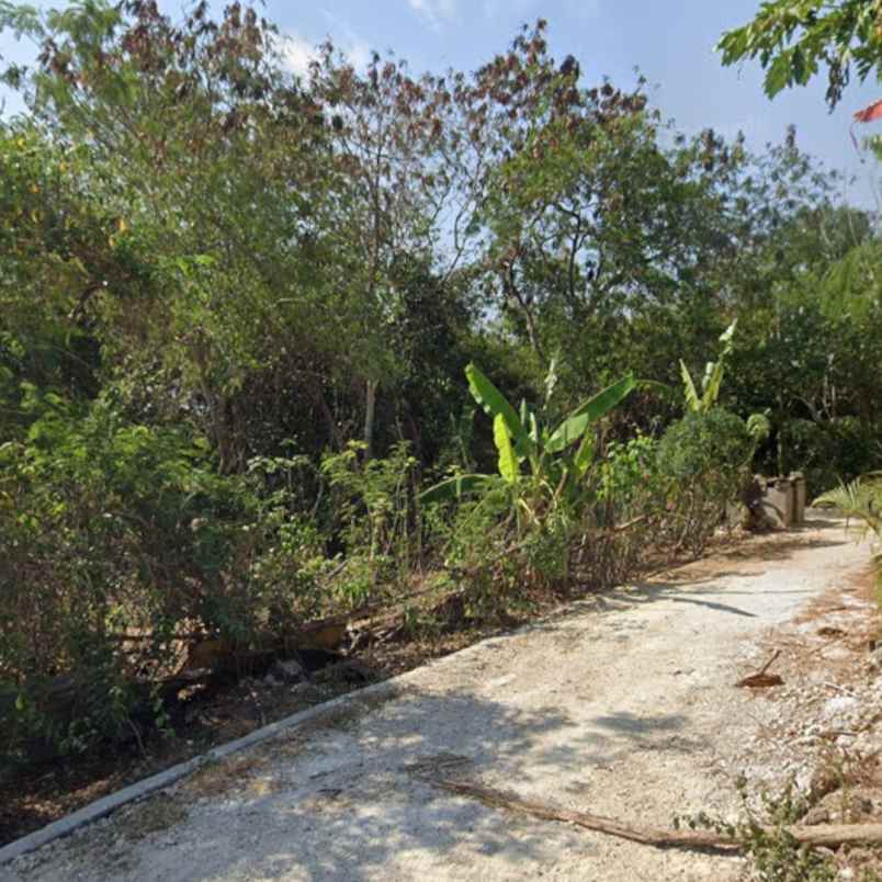 dijual tanah jl pura batu pageh