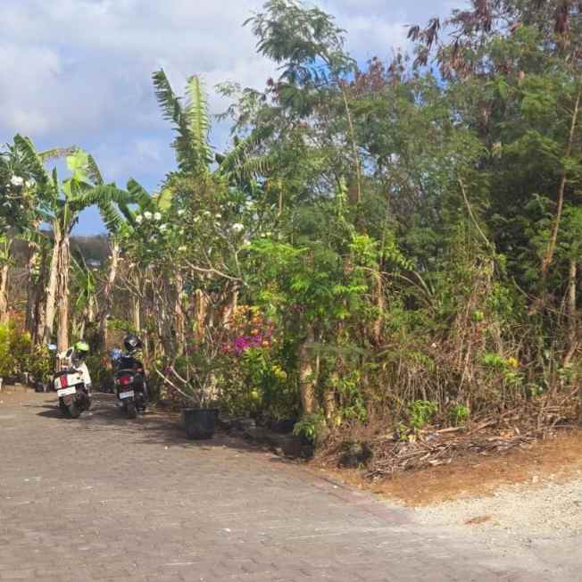 dijual tanah jl pura batu pageh