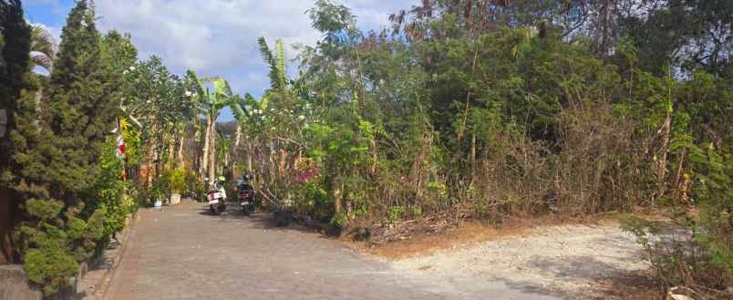 dijual tanah jl pura batu pageh