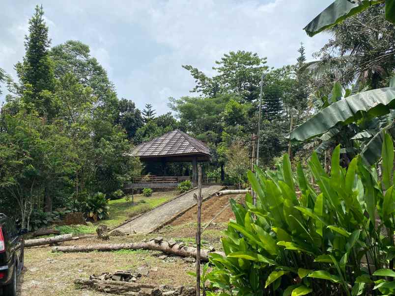 dijual tanah kebun lokasi cibedug ciawi jawa barat