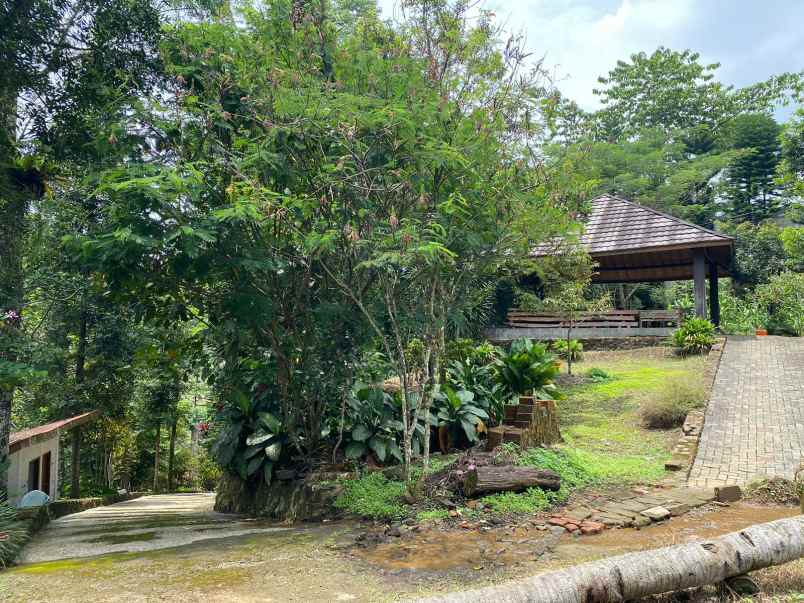 dijual tanah kebun lokasi cibedug ciawi jawa barat