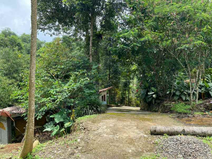 dijual tanah kebun lokasi cibedug ciawi jawa barat
