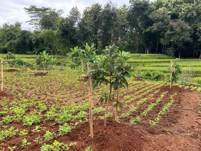 dijual tanah kerjo karanganyar