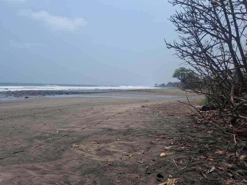dijual tanah komersial jalan nasional tabanan bali