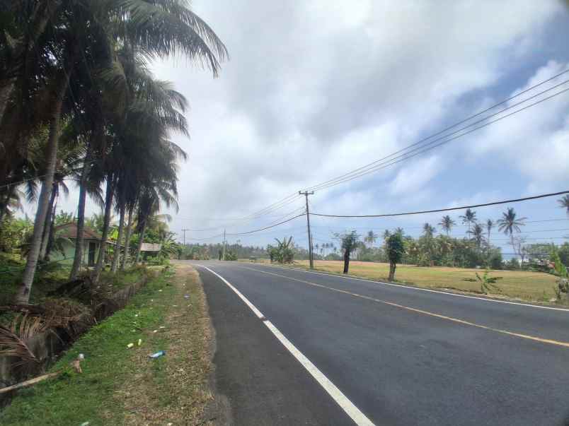dijual tanah komersial jalan nasional tabanan bali