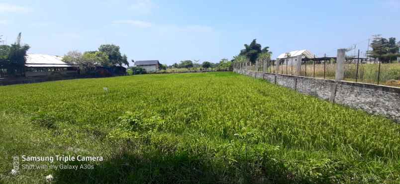 dijual tanah kosong bireun prov aceh