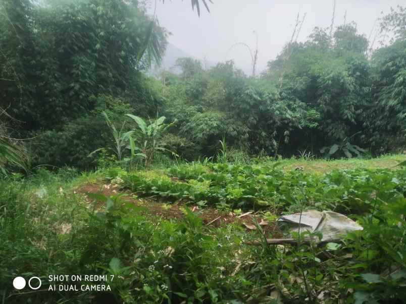 dijual tanah kp pameungpeuk desa