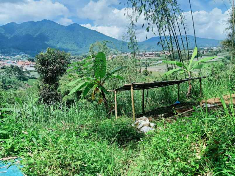 dijual tanah kp pameungpeuk desa