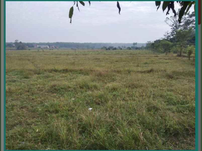 dijual tanah kp sukamulya