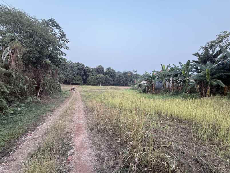 dijual tanah krukut