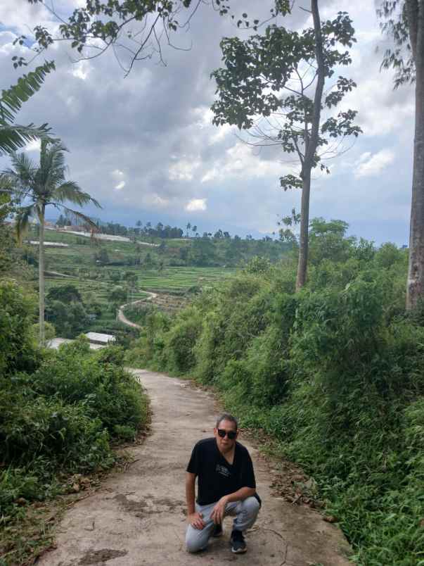 dijual tanah lokasi puncak cipanas jawa barat