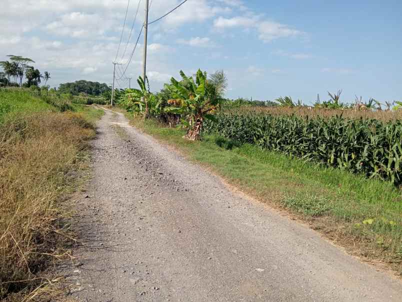 dijual tanah murah hadap barat view pantai sunset