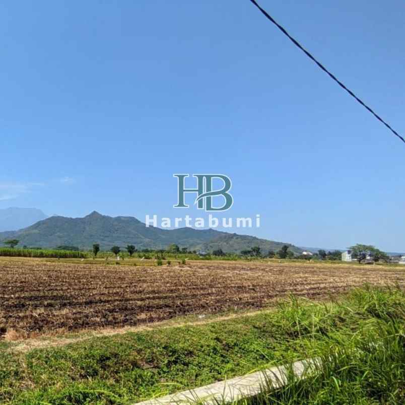 dijual tanah ngampel