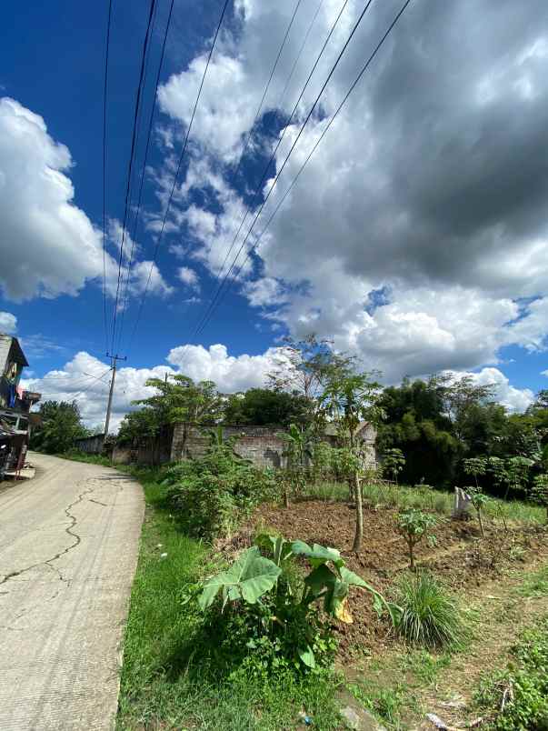 dijual tanah pabuaran sukamakmur