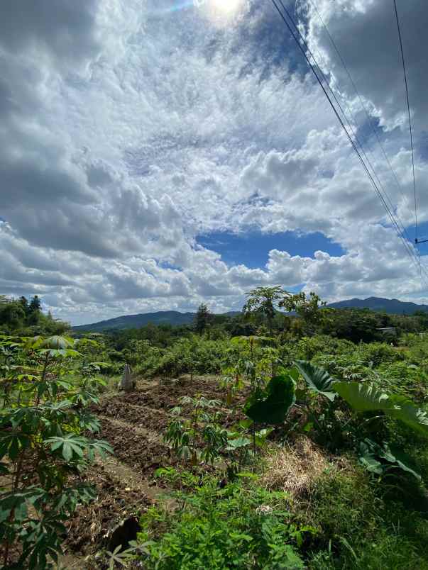 dijual tanah pabuaran sukamakmur