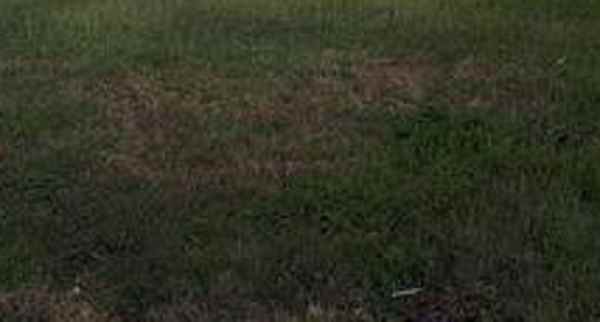 dijual tanah pakuwon city