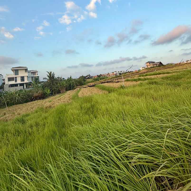 dijual tanah pantai mengening