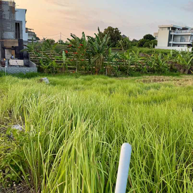 dijual tanah pantai mengening