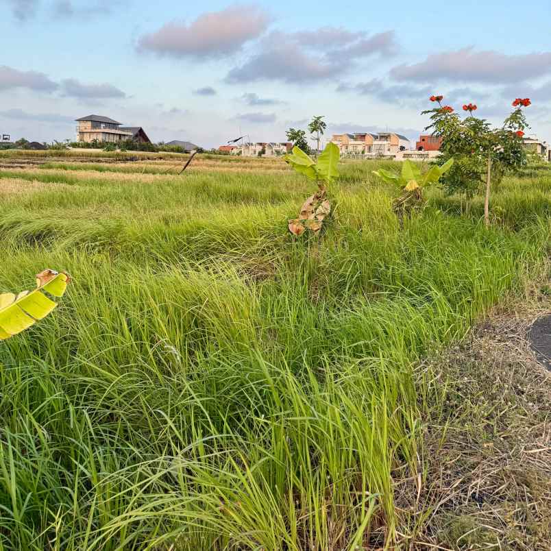 dijual tanah pantai mengening