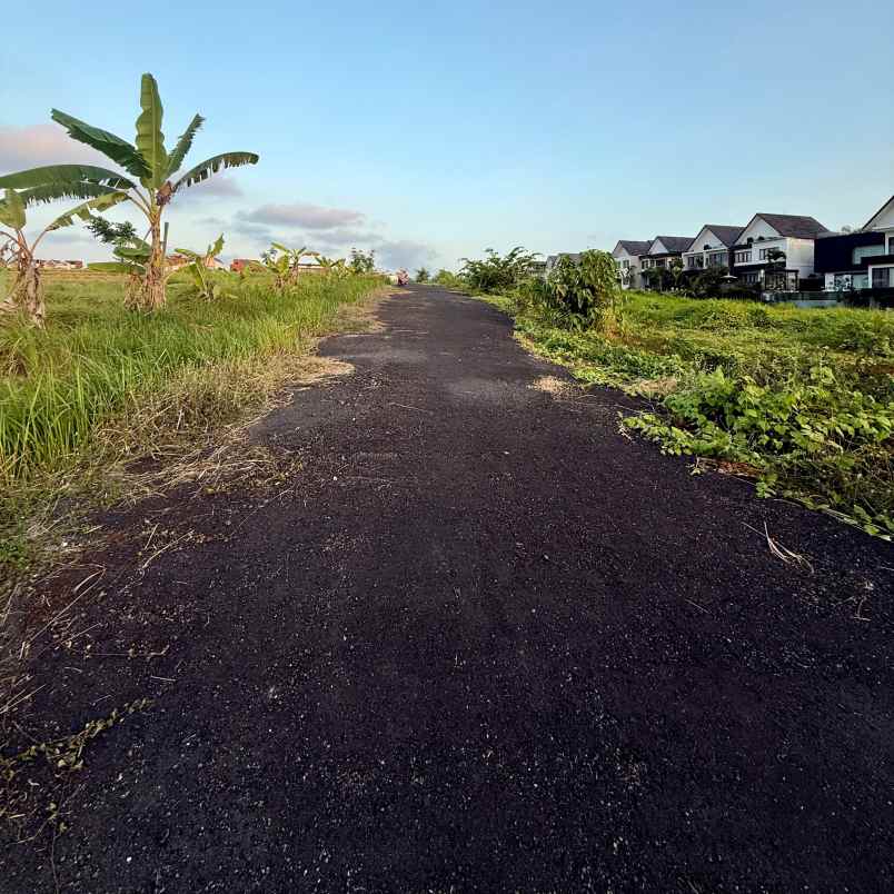 dijual tanah pantai mengening