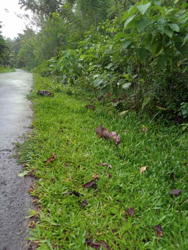dijual tanah parangloe malino gowa
