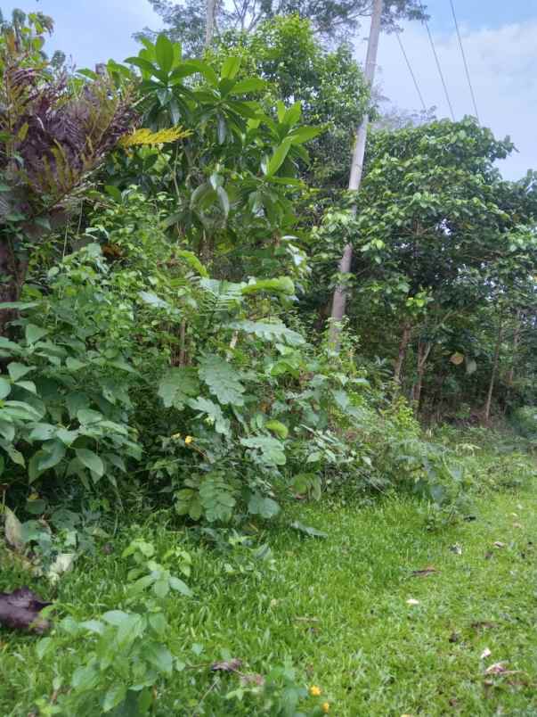 dijual tanah parangloe malino gowa