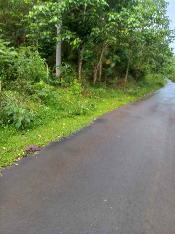 dijual tanah parangloe malino gowa
