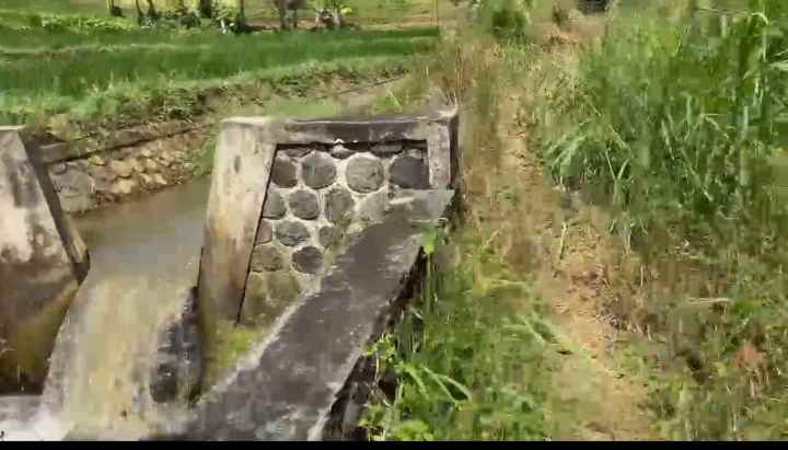 dijual tanah rando bawa kec mandirancan