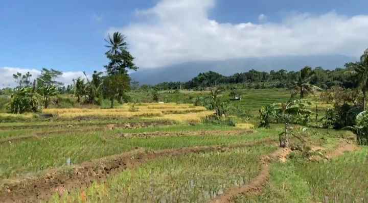 dijual tanah rando bawa kec mandirancan