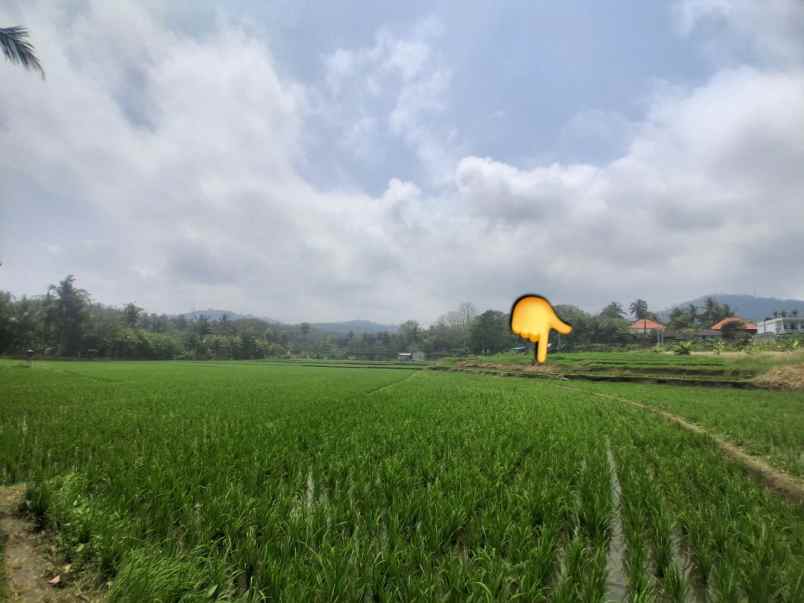dijual tanah selabih desa lalanglinggah