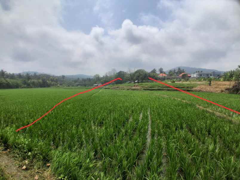 dijual tanah selabih desa lalanglinggah