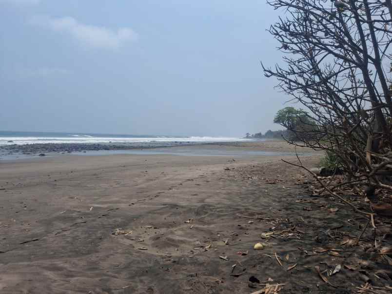 dijual tanah selabih desa lalanglinggah