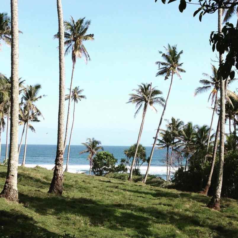 dijual tanah selemadeg